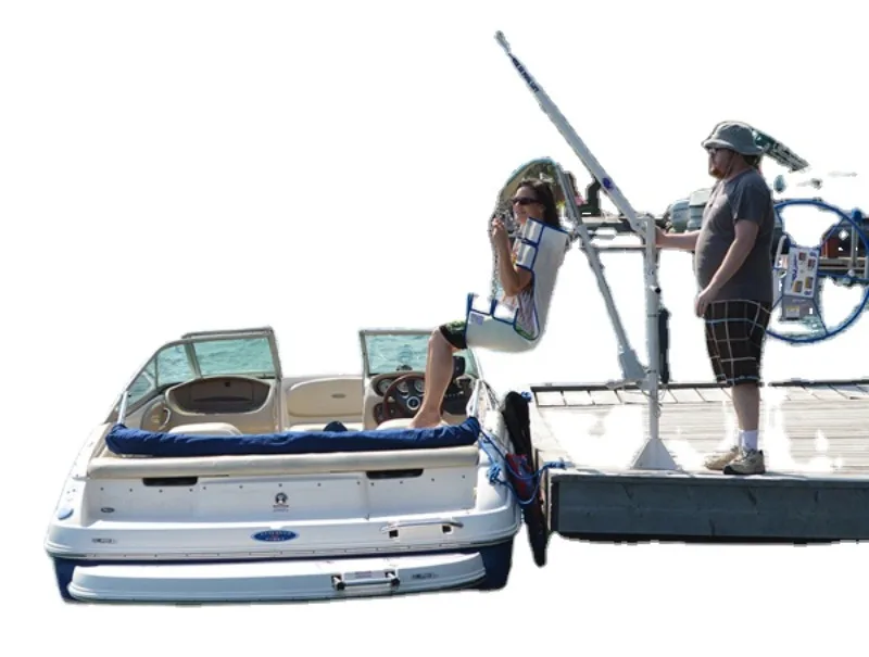 Carbon Steel Low Cost Handicap Pool Lift