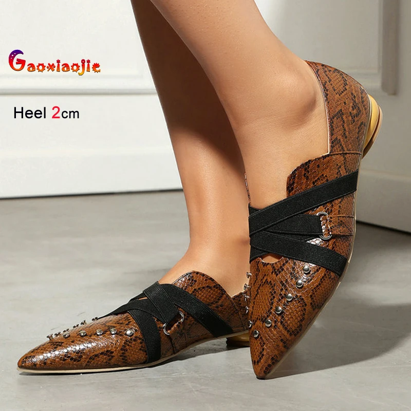 

2026 Fashion Spring Autumn Retro Brown Snake Pattern Women's Shoes Thick Low Heels 2cm Cross Elastic Band Ladies Pumps Shoes CD