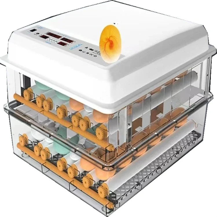 Full Automatic Chicken Egg Incubator In Africa For Sale /12V/220Vdouble Power Mini Egg Incubator