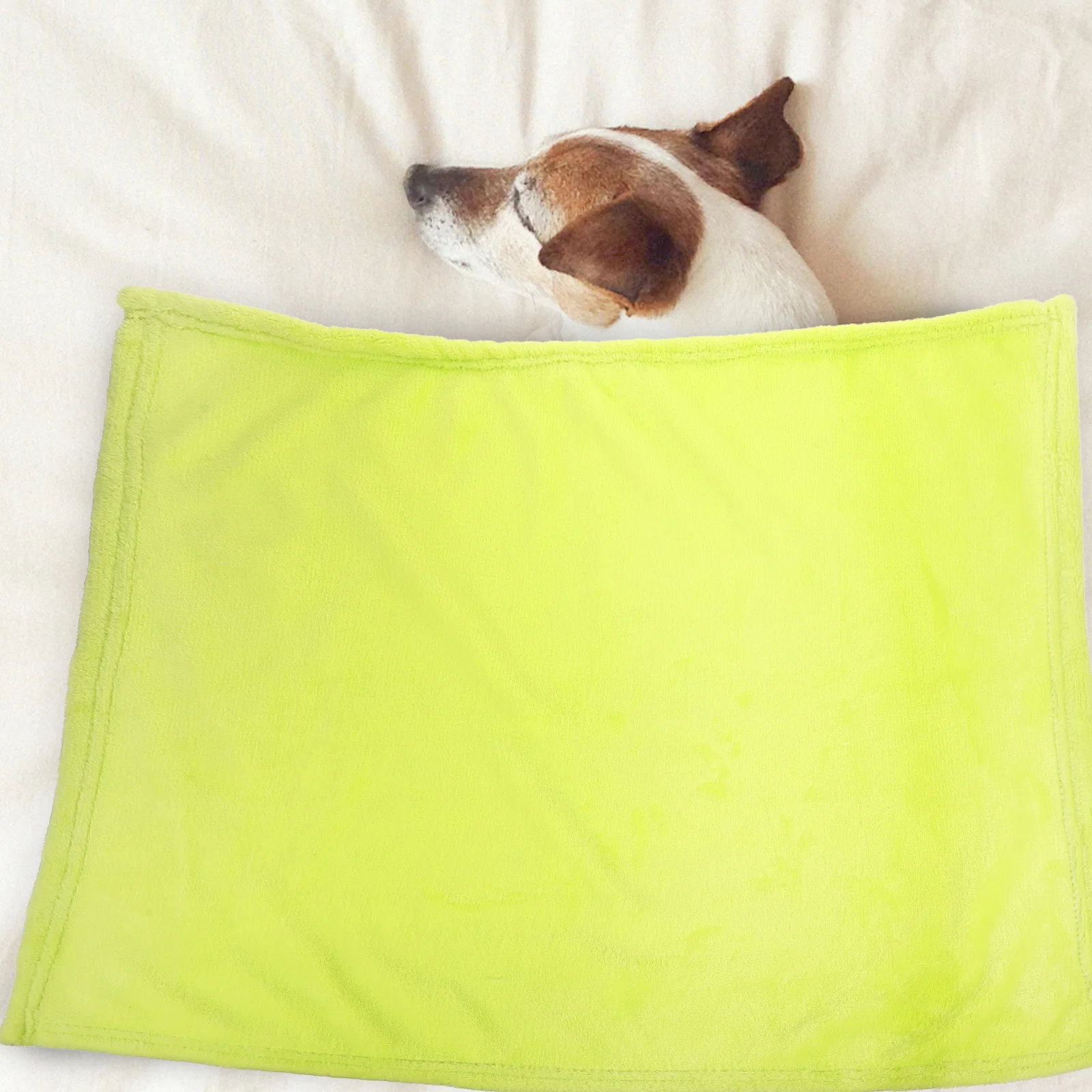 Flannel Pet Blanket Soft Warm Fleece Cozy Lightweight Solid Color Fruit Green For Small Pets Home Textile Bedding