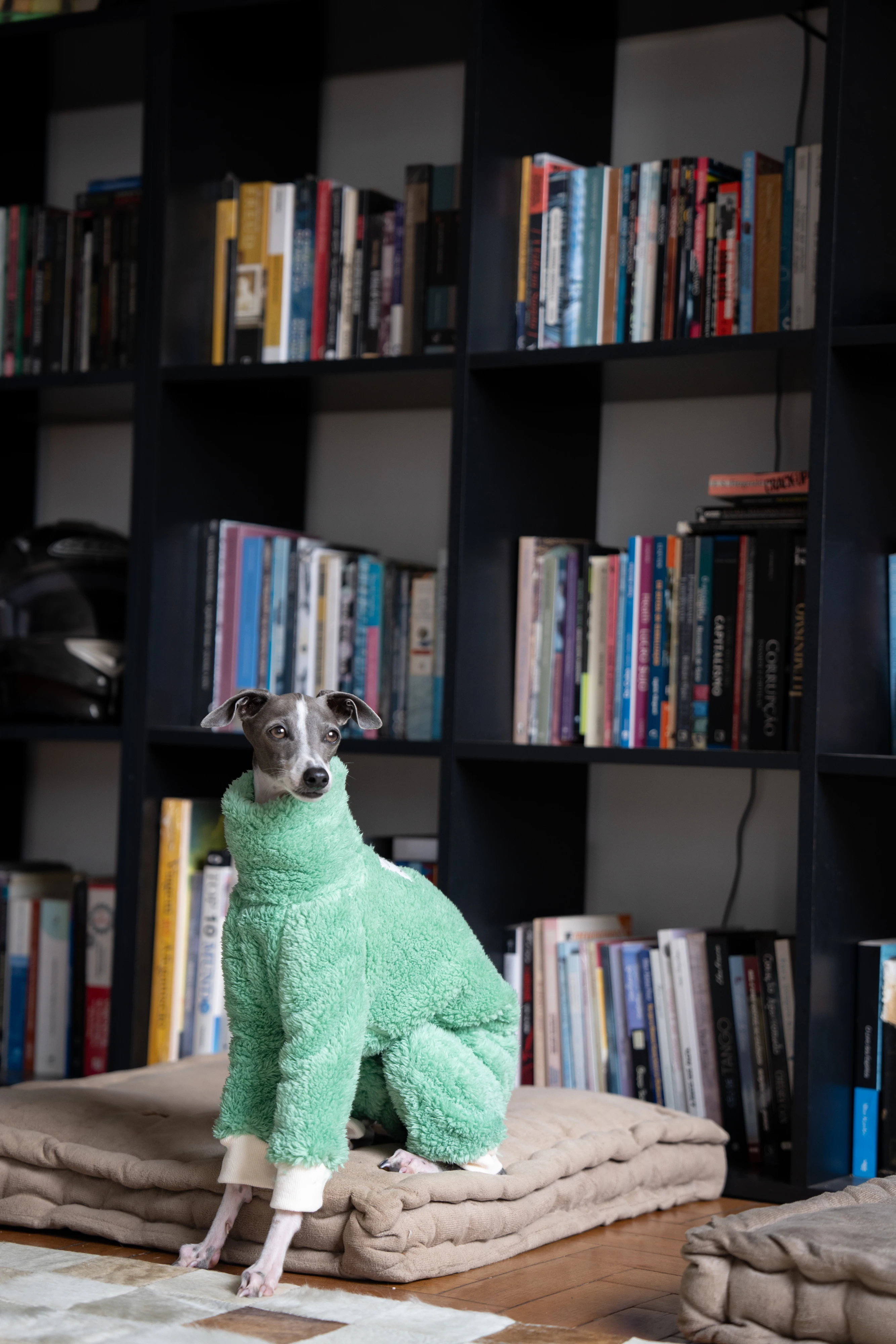 Green Christmas Italian Greyhound Clothes Soft Warm Winter Puppy Clothes Whippet Coat