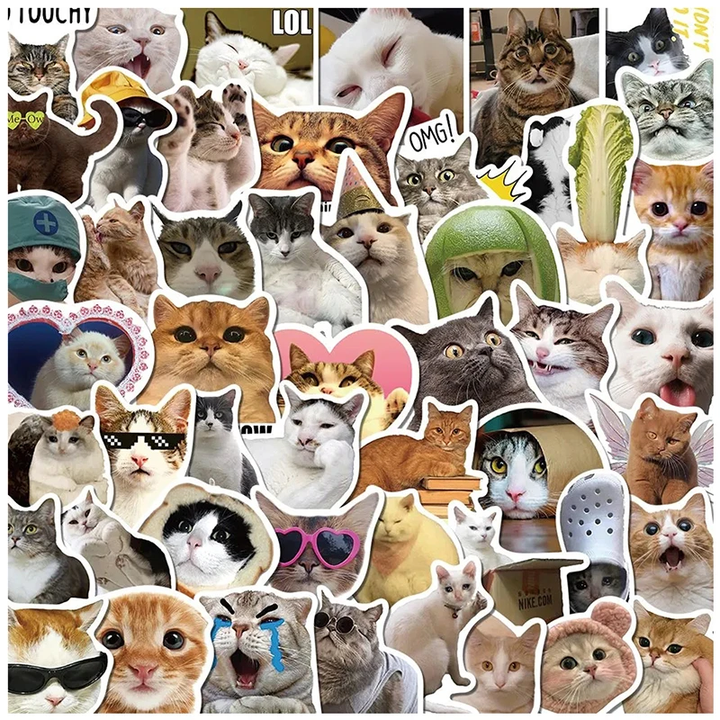 10/50/100PCS Lustige Katze Haustiere Meme Aufkleber Aufkleber DIY Y Sammelalbum Koffer Skateboard Laptop Graffiti Niedlichen tier Aufkleber Spielzeug Geschenk