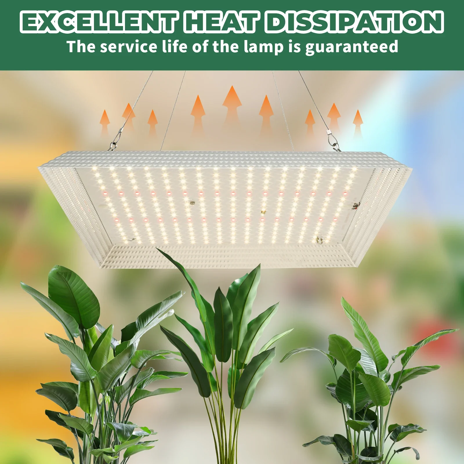 LED Grow Lamp 1000 W Full Spectrum Plant Grow Light Plant Growing Lamp LED Grow Light Indoor Grow Lamp Safe Seeding Grow 2025