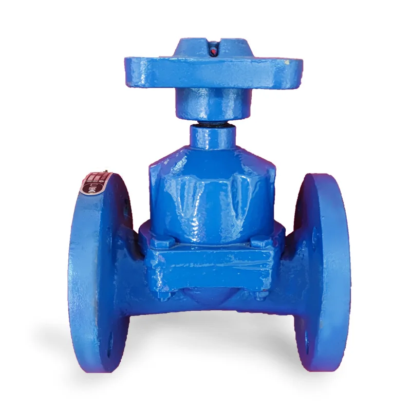 Rubber Lined DI WCB DN 40-DN300 Water PN10 PN16 PN25 Straight-through Diaphragm Valve
