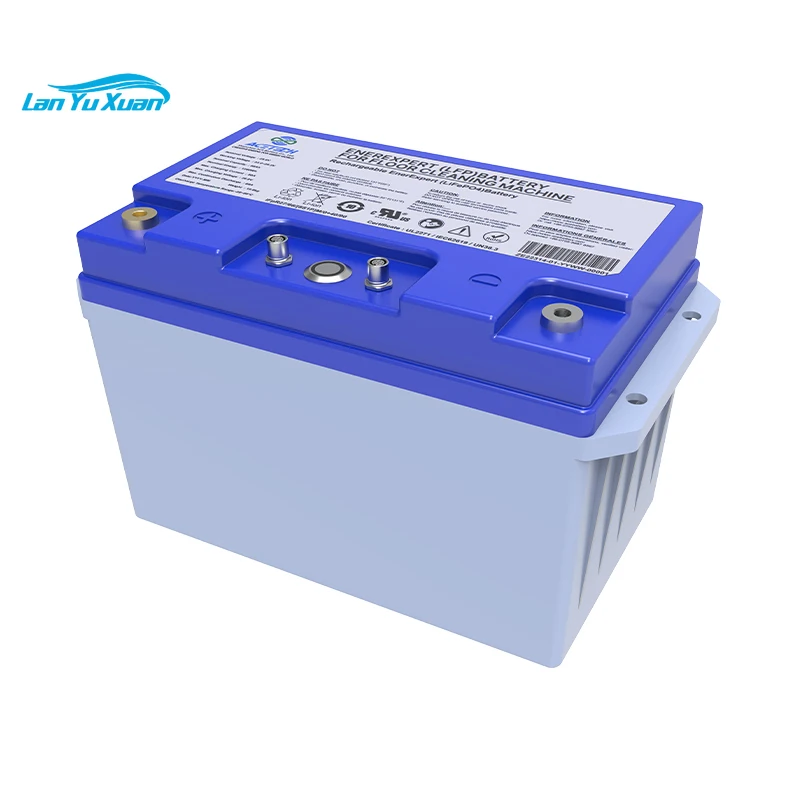 Lifepo4 2 Years Warranty 24V 25.6V 50 Ah 100 Ah Power Battery For Shopping Mall Washing