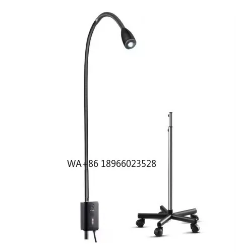 3W Economical Medical Examination Light Gynecological Examination Light