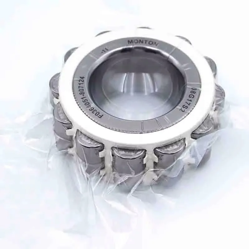 High-Speed Single Row Cylindrical Roller Bearings for Wire Rod Rolling Mills 162250-GA F0364021 801680 360009 for Wire Rolling