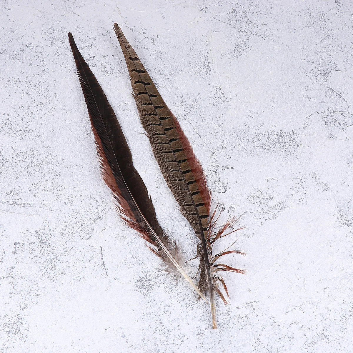 

12pcs Natural Pheasant Tail Decorative Craft Art Diy Wedding Party Costume Accessories Home Decoration For