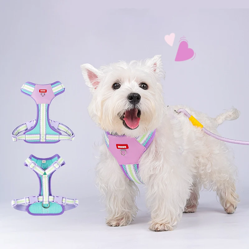 Lightweigh Breathable Dog Harness Leash Set Color Blocking Adjustable Outdoor Walking Puppy Cat Harness Pecheras Para Perros