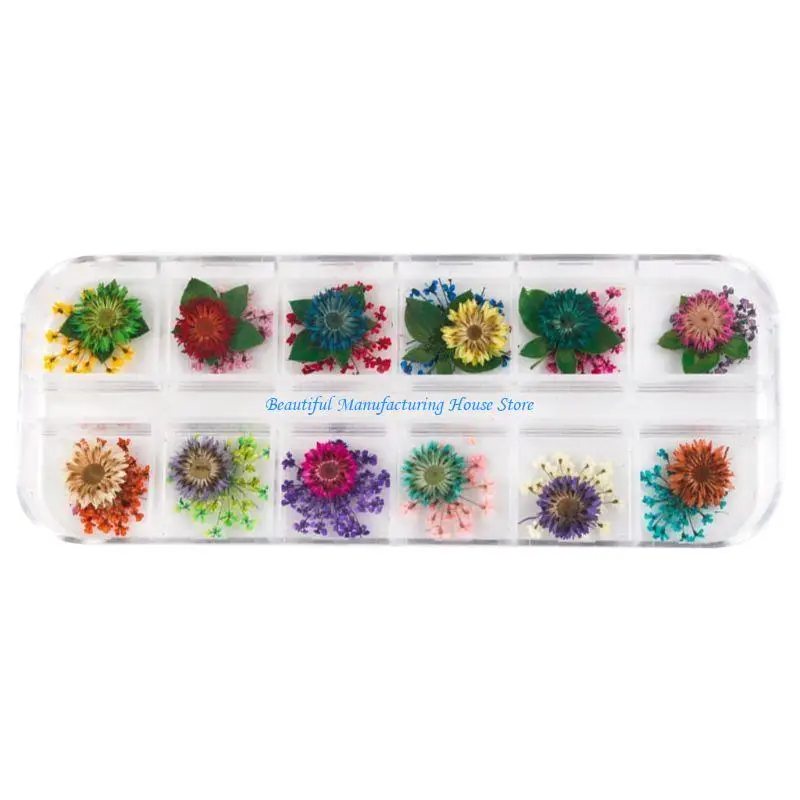 E56A 12Grid/Box Crystal Epoxy Filler Dry Flower Mixed Stickers Decorations Craft