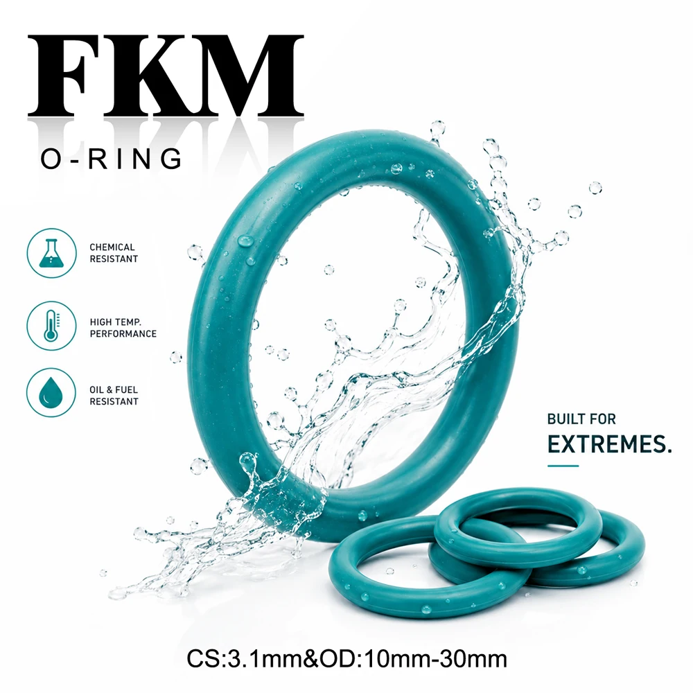 10Pcs FKM O-Ring CS 3.1mm OD 10~30mm Corrosion resistant/oil resistant/instrument pipeline sealing ring