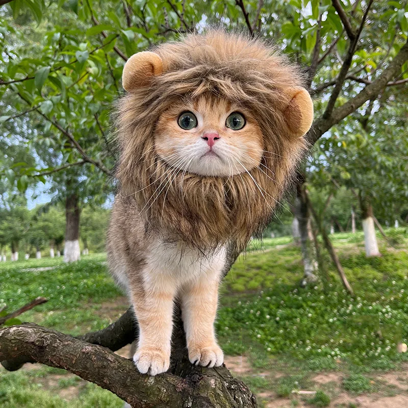 Cat Costume Cute Lion Mane Cat Wig Hat Cosplay Clothes Cap Dress Up Puppy Kitten Halloween Christmas Party Decoration Supplies