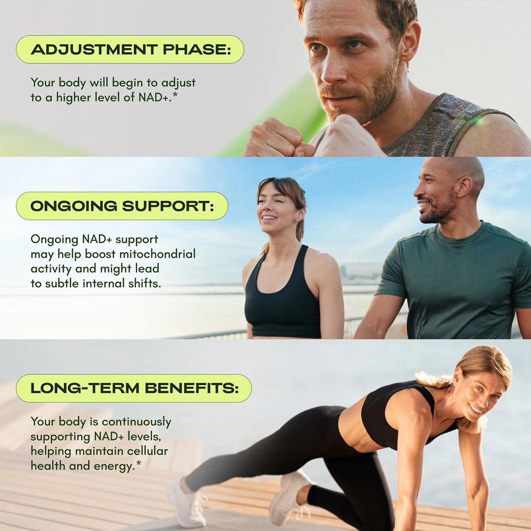 

Liposomal NAD Supplement with Resveratrol, 250mg | 500mg - Supports NAD+ Levels, Cellular & Stamina & Healthy Aging, 60 Capsules