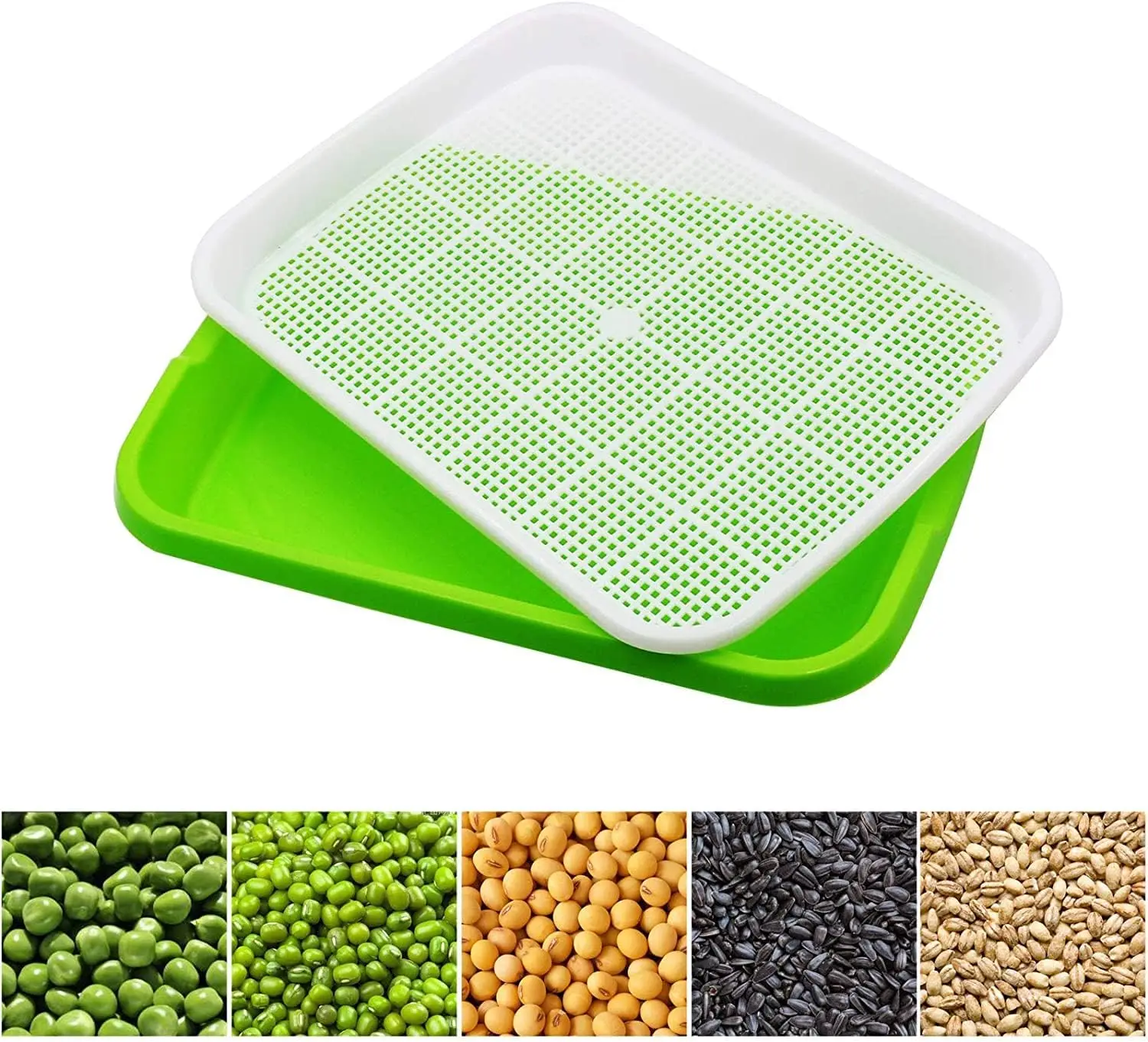 صينية إنبات البذور بدون تربة لزراعة شتلات الحديقة ونمو أداة زراعة براعم الفاصوليا النباتية #3