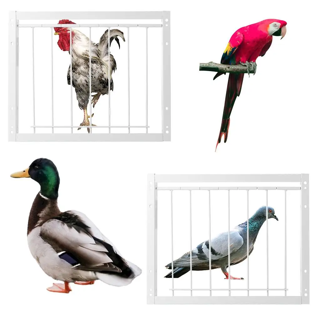 Thumbnail 2 - #65 Compare Birdhouses Before You Buy