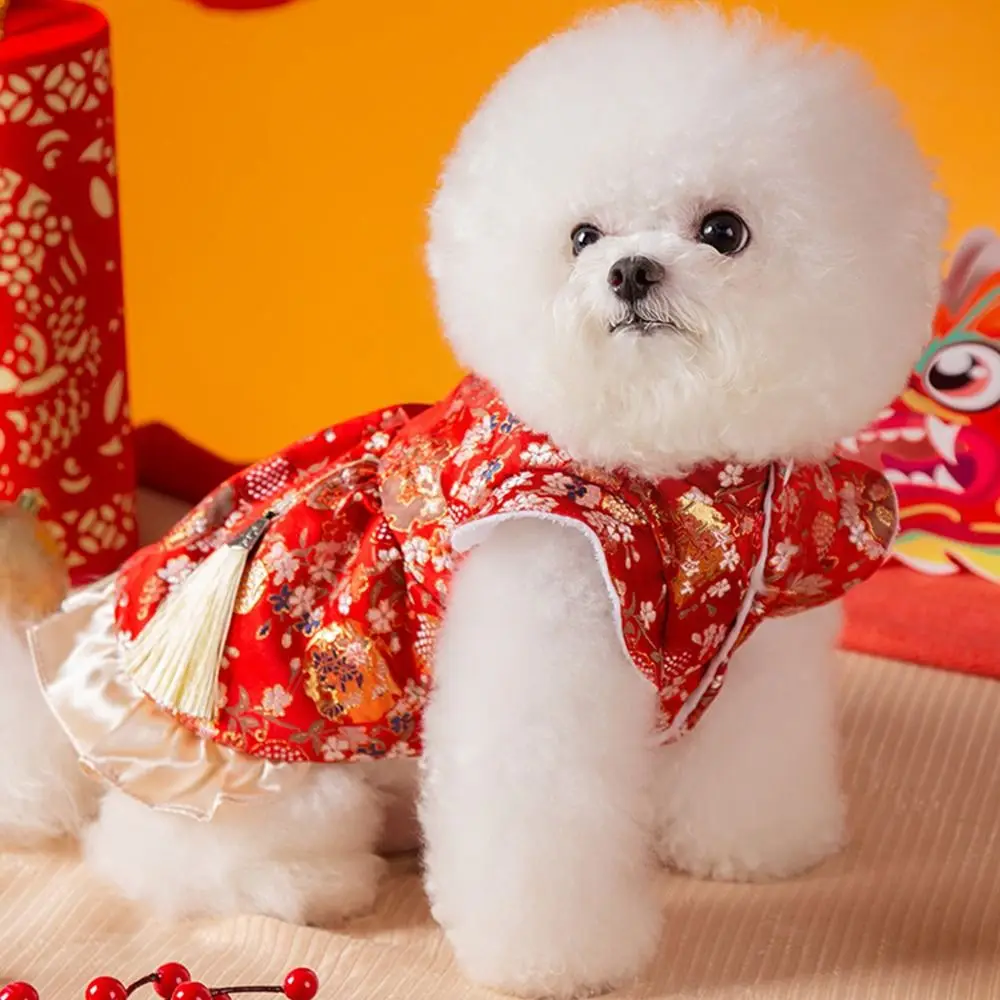 Chinese Style New Year Pet Dress Creative Plush Pet Princess Skirt Flannel with Tassels Pet Tang Clothes Dress Up Accessories