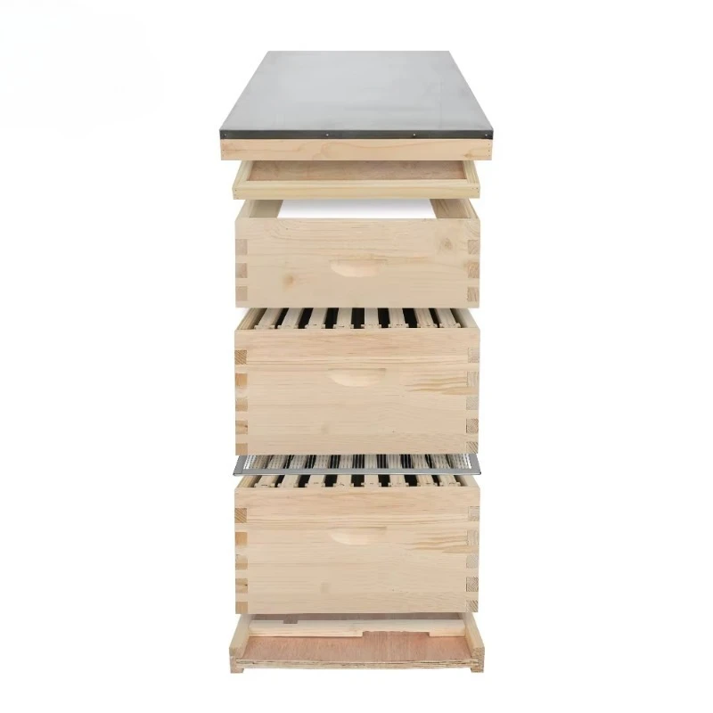 

New beekeeping equipment Wooden beehives 10 beehives 8 beehives