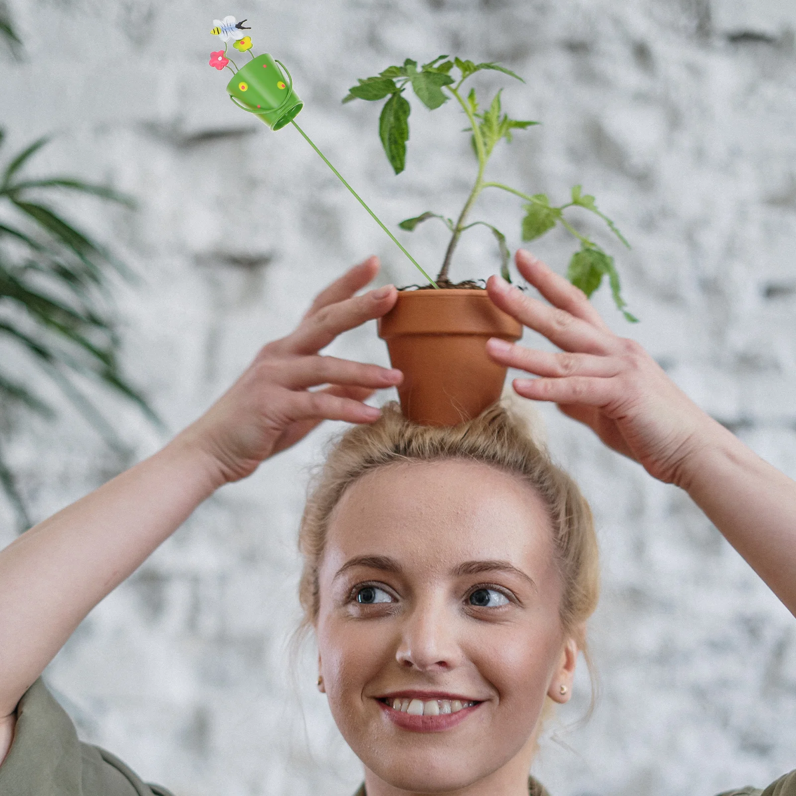 

4Pcs Succulent Plant Decor Insert Creative Watering Pot Design for Potted Plants Flower Arrangement Ornament Garden Supplies