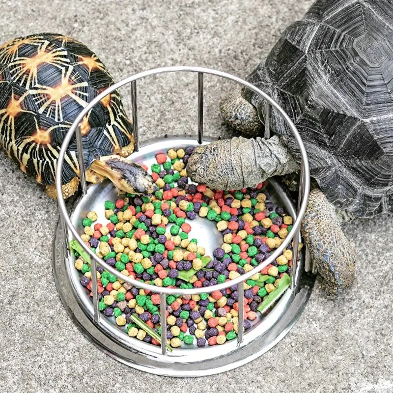 

Stainless Steel Tortoise Turtle Feeder Pet Supply Food Dispenser Bowl Feeding Tool Reptile Water Dish