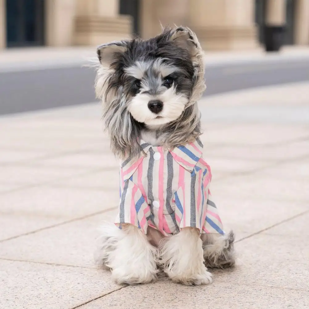 

Lightweight Dog Jacket Pet Clothes Cute Plush Bear Button Summer Puppy Outfits Breathable Pet T Shirt for Small Medium Dogs