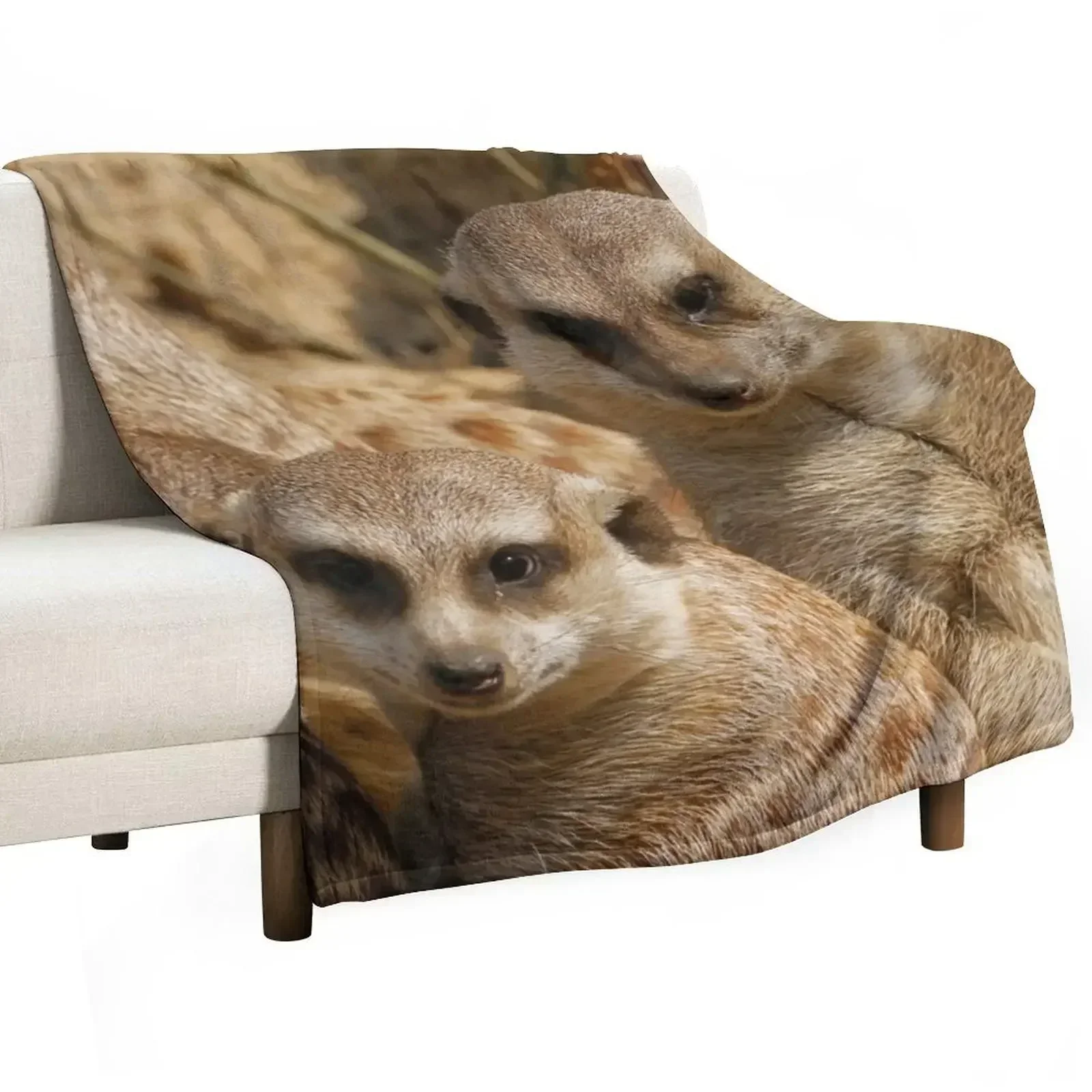 Meerkat 039 Throw Blanket Beach warm for winter Bed covers Blankets