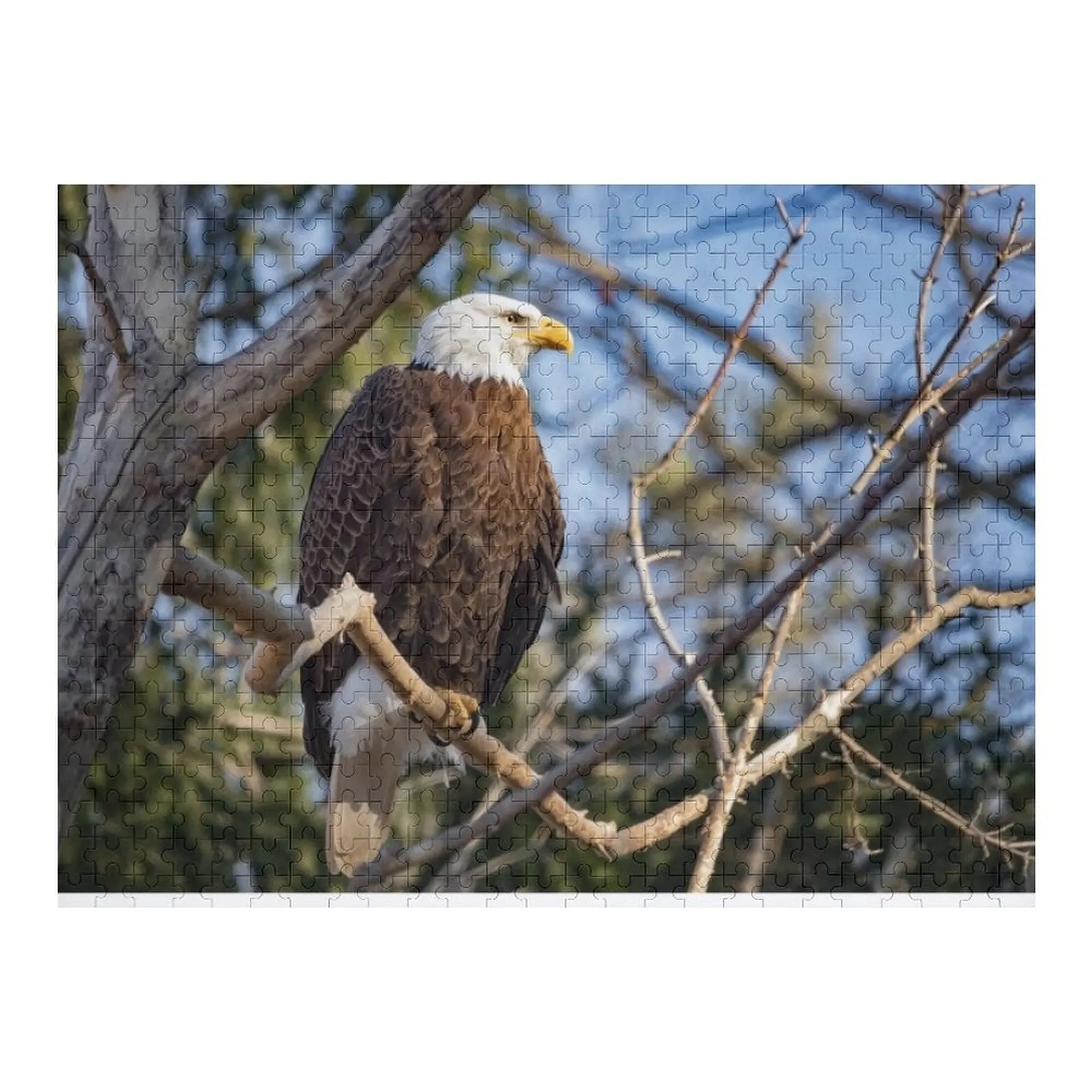 

American Bald Eagle Jigsaw Puzzle Wood Adults Animal Adult Wooden Custom Child Gift Puzzle