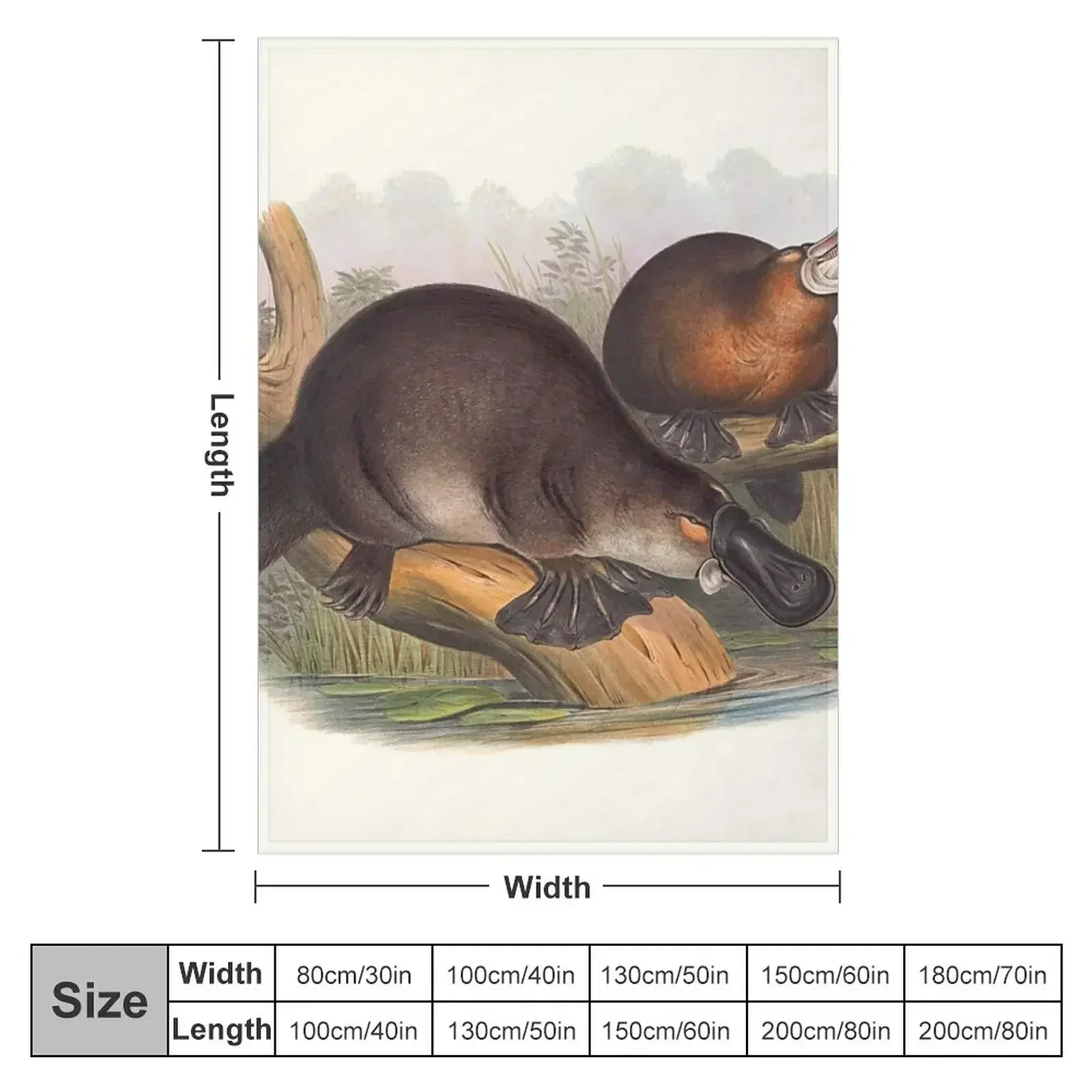 Animals Of Australia The Duck Billed Platypus Throw Blanket warm for winter Softest Blankets