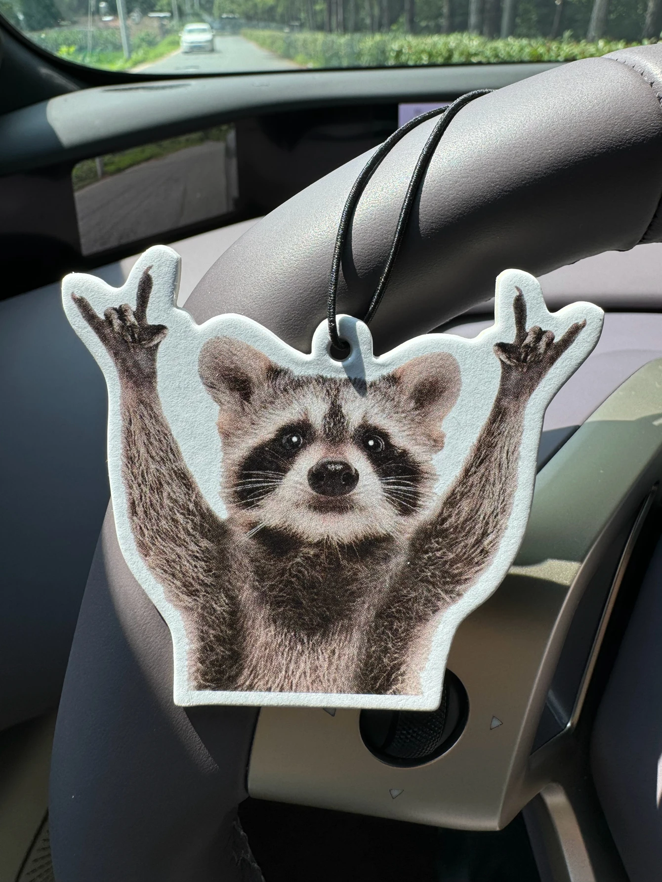 Funny Raccoon Beyer Car Aromatherapy Tablets, Wardrobe Air Freshener, Perfume, Rearview Mirror Decoration, Car Accessories Interior Pendant, Natural