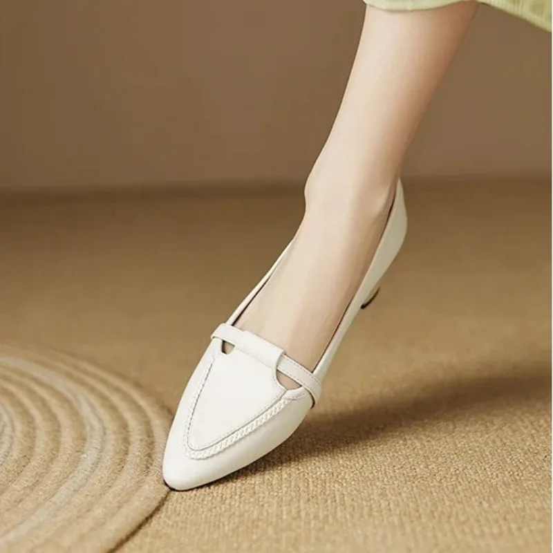 

2026 New Fashion Retro Coarse Heels Luxury Designer Shoes Pointed High Heels,Shallow Mouth Single Shoes,Women's Commuting Shoes