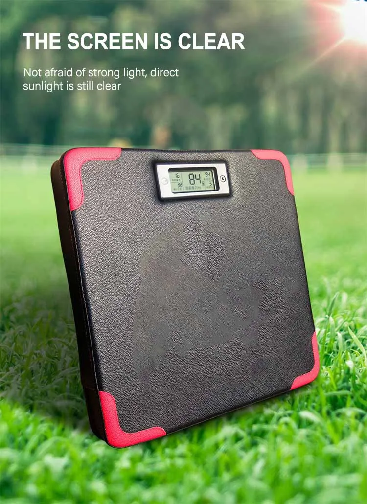 Home Fitness Punching Target Wall Mount Boxing Punching Pads with Screen