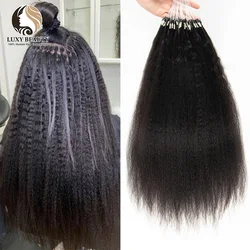 Kinky Straight Micro Loop Ring Human Hair Extensions 12-26