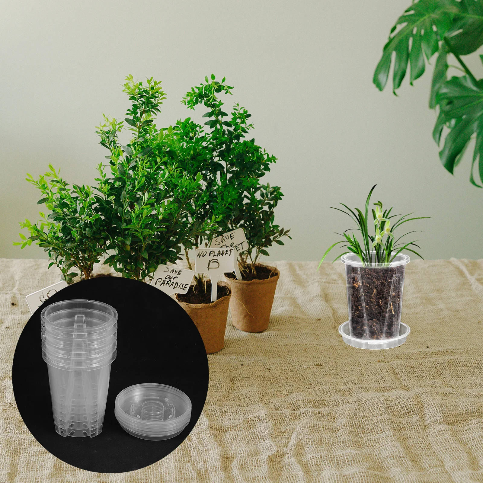 

5 set 5 Sets Clear Orchid Pots 5 Pieces Breathing Root Control Flower Pots Drainage Plant Nursery Plastic Planter Containers
