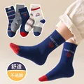 color29(5 pairs)