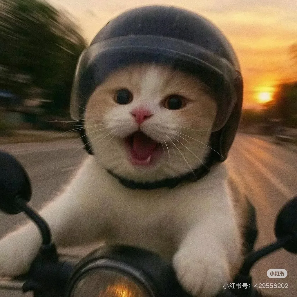 

EMS NEO 15 Tesla RF Профессиональная машина для моделирования тела 6500 Вт Myosilm EMS Машина ABS Стимулятор мышц Myosilm Body Sculpting Machine PRO