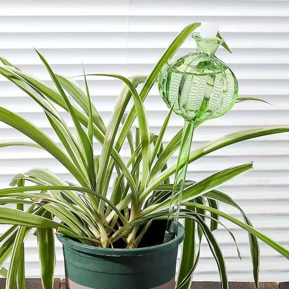 Self-watering Bulb for Indoor Plants Plant Humidity Control Tool Self Watering Cactus Bulbs for Houseplants Outdoor Potted