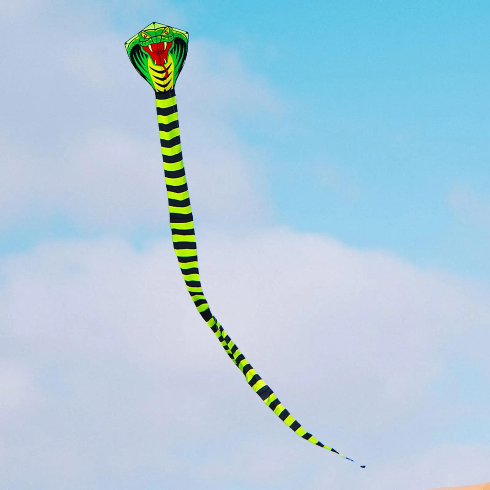 Snake Kite Outdoor Toy with Long Tail for Beginners Sports Kite Snake Kite for Lawn Trips Farm Outdoor Game