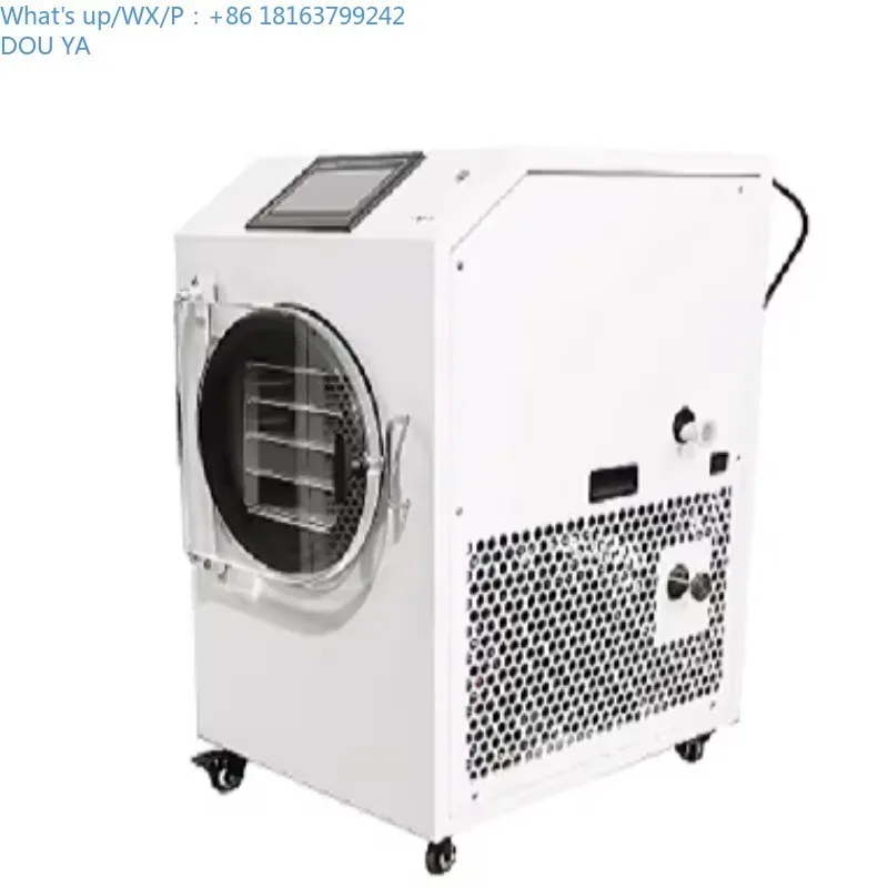 10Kg Stainless Stee… - image