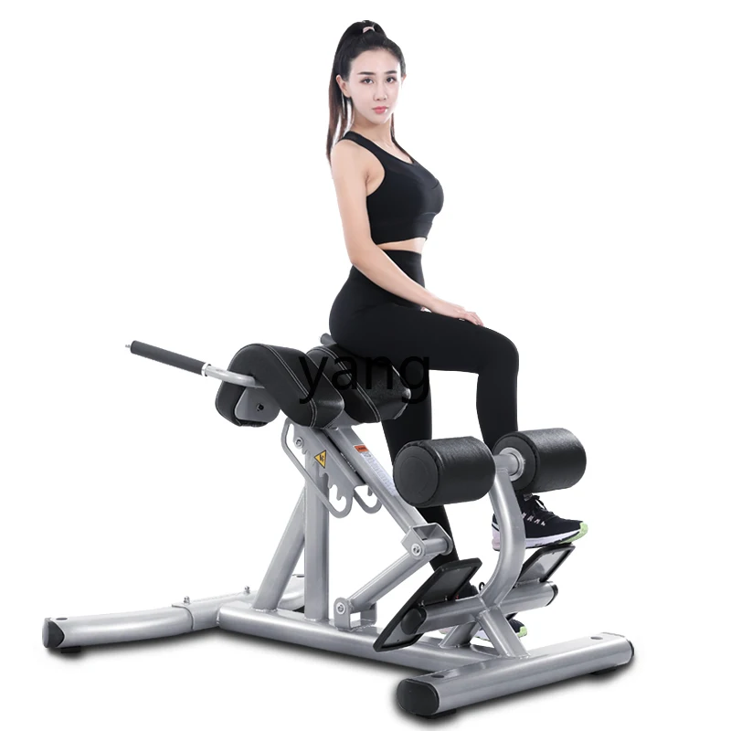 CX Commercial Roman Chair Goat Body Lifter Waist and Back Abdominal Muscle Back Muscle Trainer