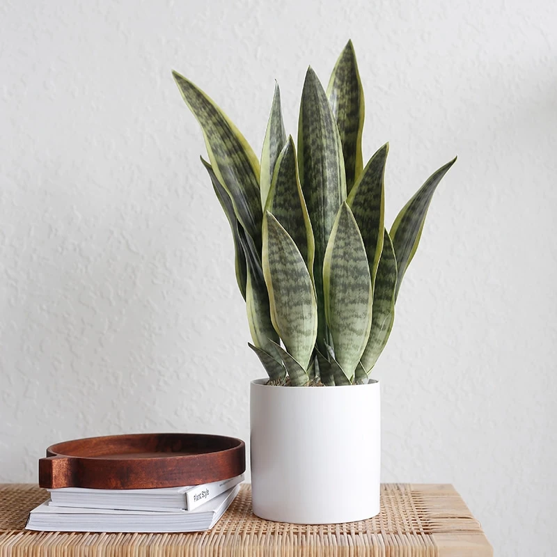 Piante artificiali Piante grasse realistiche per interni ed esterni Aloe Vera tropicale finte foglie lunghe Accessori per la decorazione della stanza