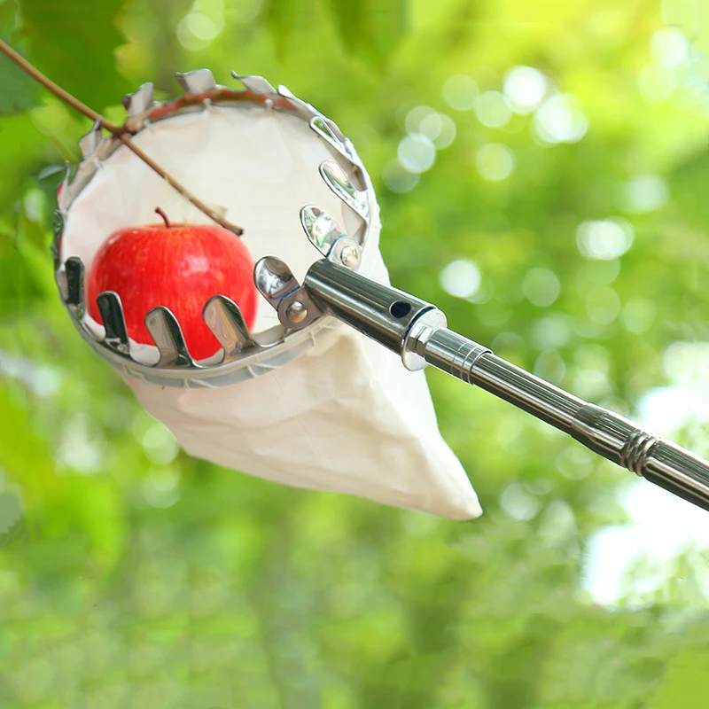 Imagem -02 - Metal Fruit Picker Pomar Jardinagem Apple Peach Ferramentas Colheita Alta Árvore Coletor Frutas Ferramentas Jardinagem Ferramentas Jardinagem
