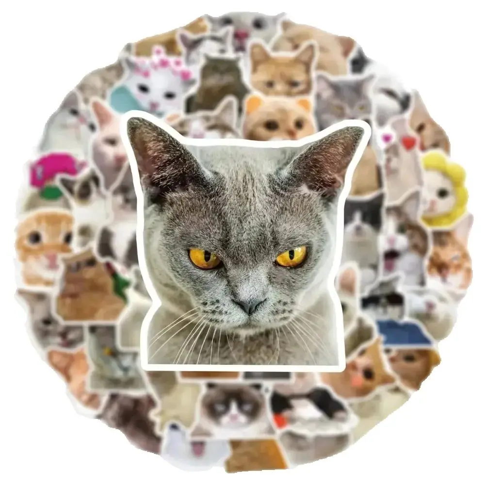 50 قطعة من ملصقات خربش القط الكرتونية اللطيفة العصرية لتزيين كوب الأمتعة المحمول على الجيتار بنفسك