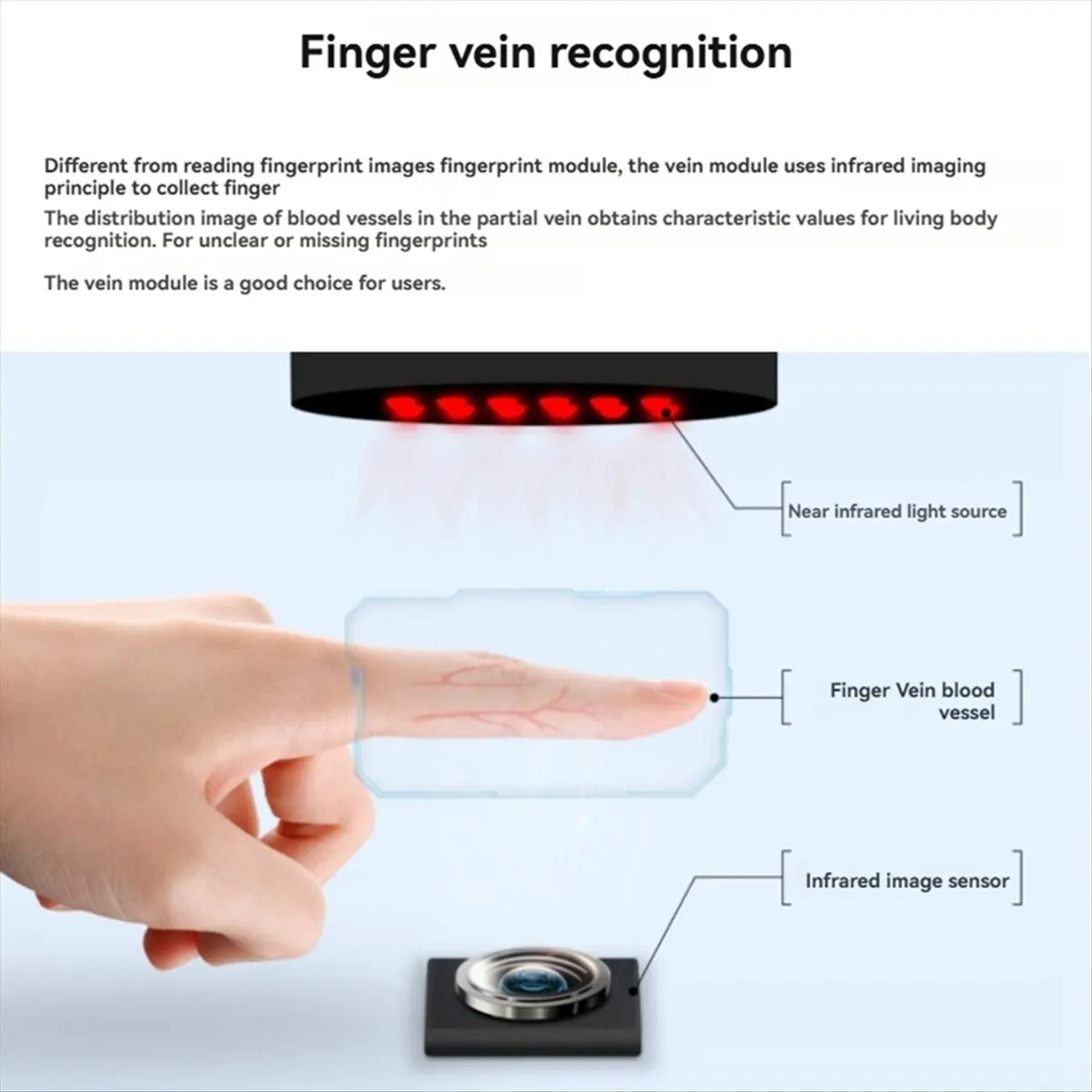 2026 New + Integrated Thin-Type Finger Vein Scanner Module (A) Adaptive USB Free UART Serial Port