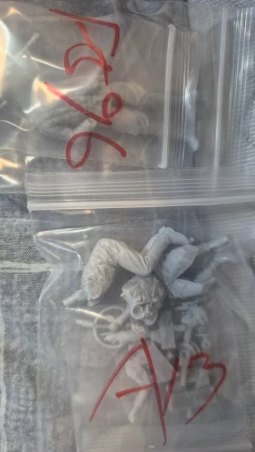 Buyer photo of this resin kit