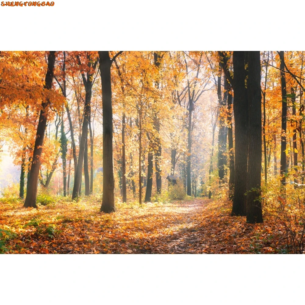 Осенний пейзаж, лиственный фон, лиственные горные дороги, деревья, желтые осенние листья, вид, фон для фотосъемки, реквизит для фотостудии