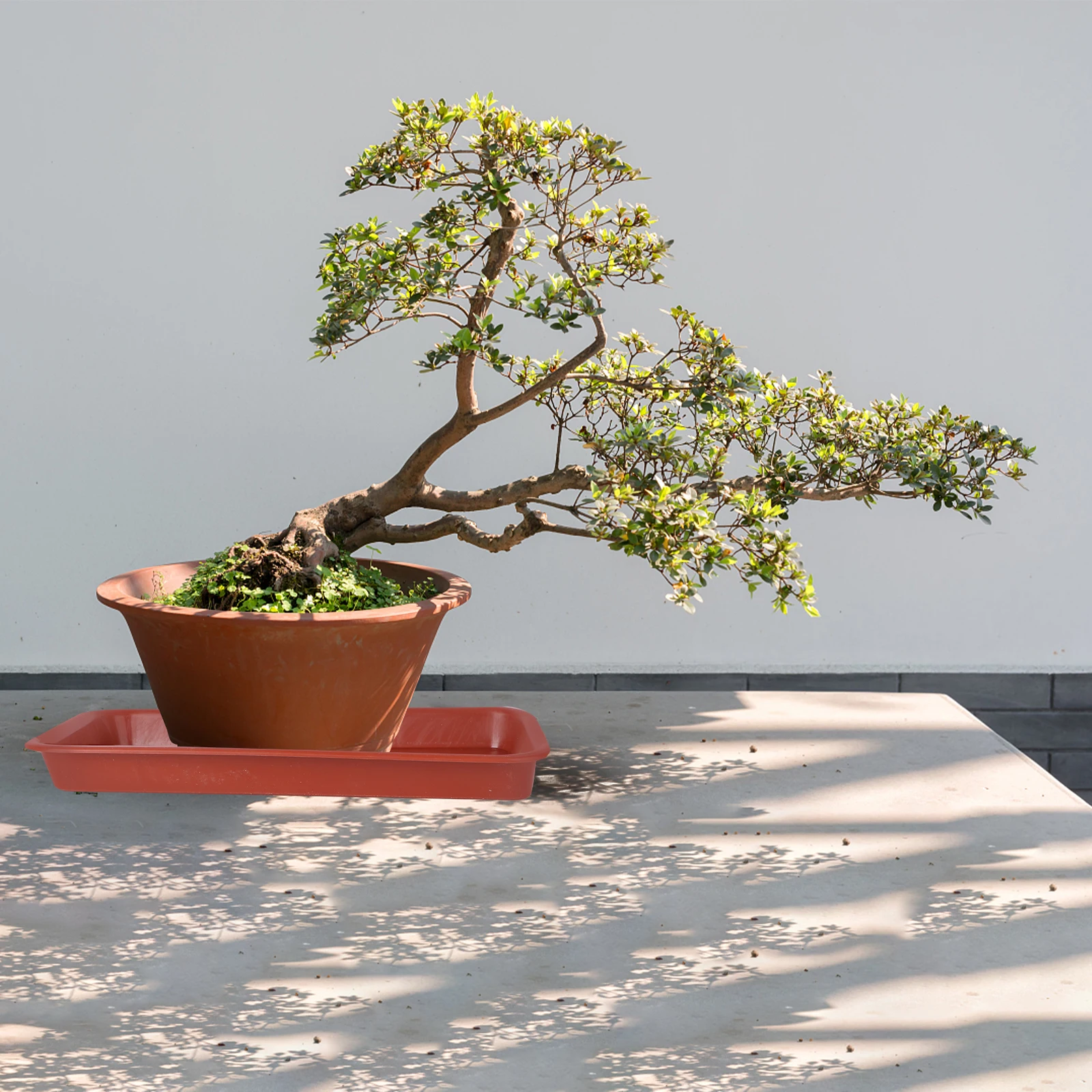 

10Pcs Oblong Plastic Plant Pot Tray High Quality Flowerpot Base Plate Water Drip Tray Garden Plant Pot Accessory