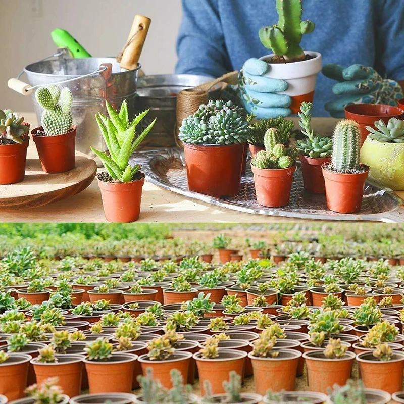 75Pcs Flexible Plant Nursery Pots Seed Starting Pots Plastic Flower Plant Container for Succulents Seedlings Cuttings Transplant