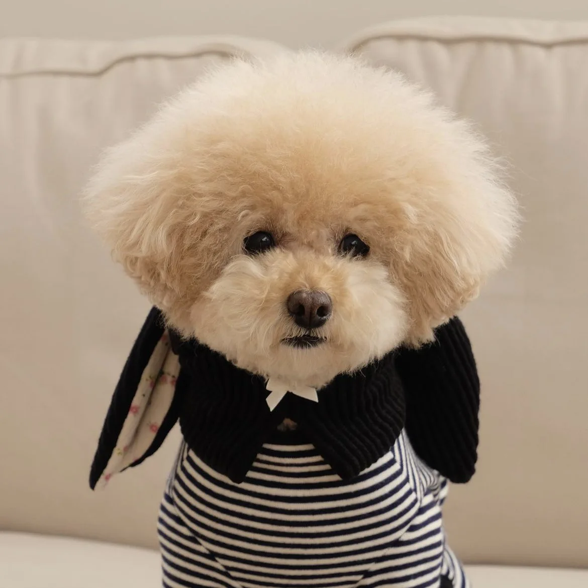 1 قطعة آذان أرنب محبوكة الشتاء قبعة الحيوانات الأليفة-نمط الأزهار الدافئة الخريف والشتاء ، لينة ومرنة صغيرة/متوسطة الكلب والقط تيدي اكسسوارات