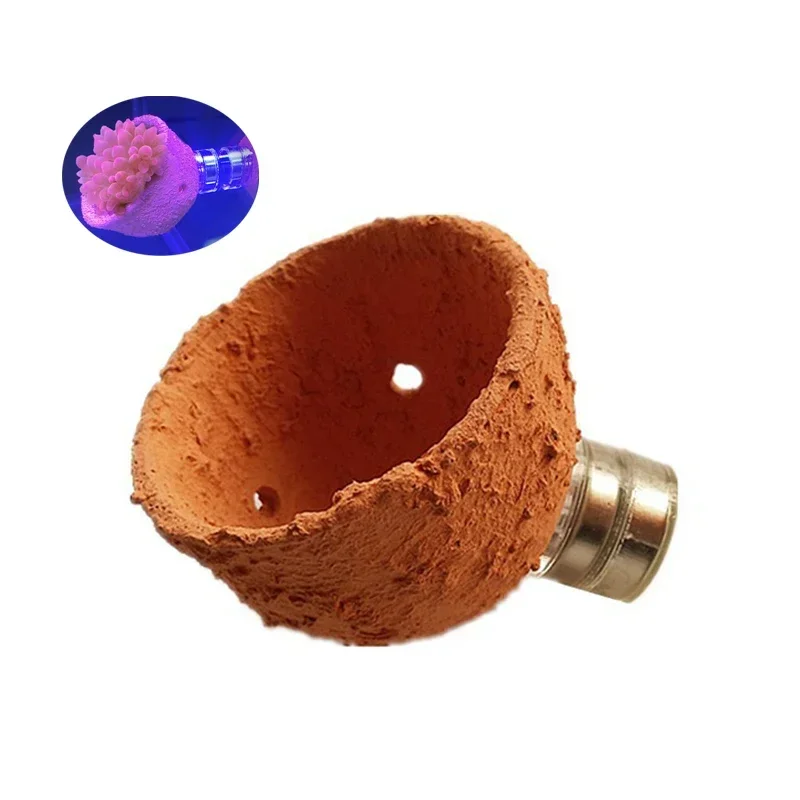 

Anemone Nest Magnet Prevent Running Away Clay Magnetic Levitation Nest Anti-running Artifact Suitable for Glass Within 12mm