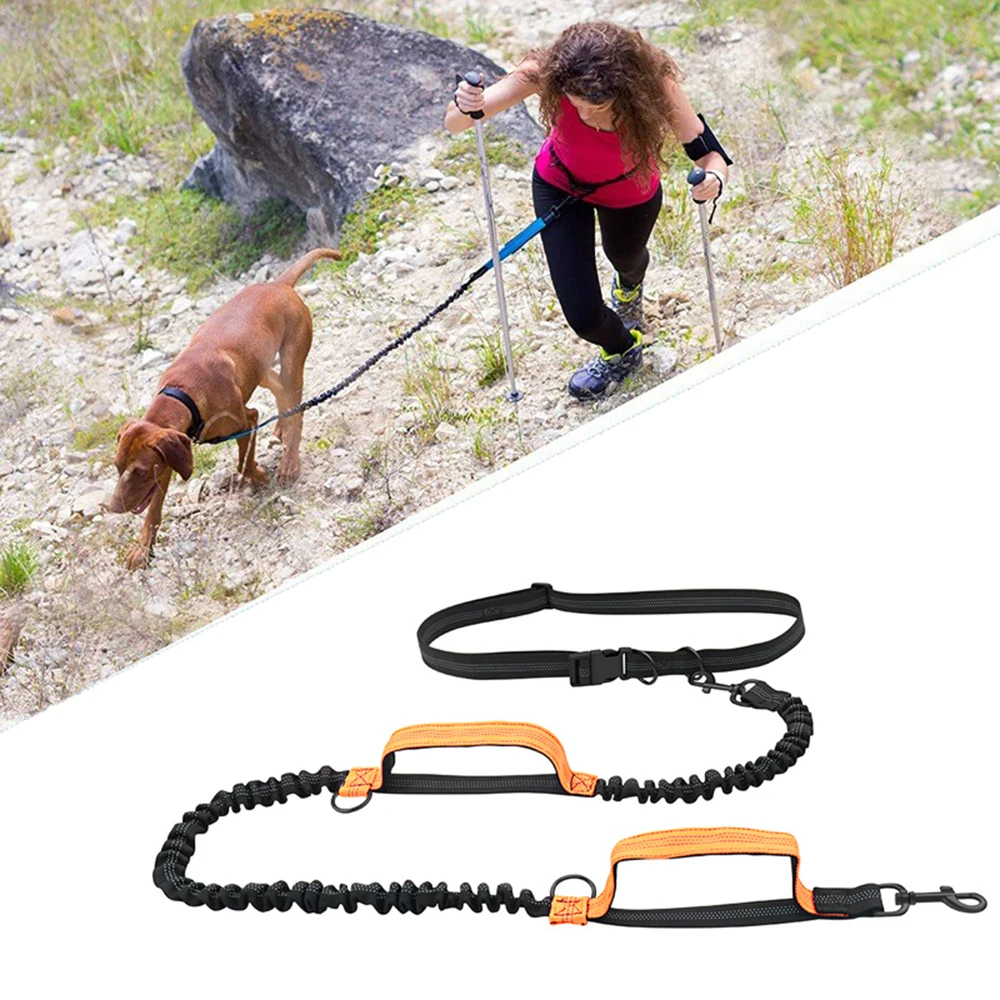 Laisse de course réfléchissante double élastique, laisse rétractable portable pour chien, chaîne de laisse pour chien, fournitures pour animaux de compagnie en gros