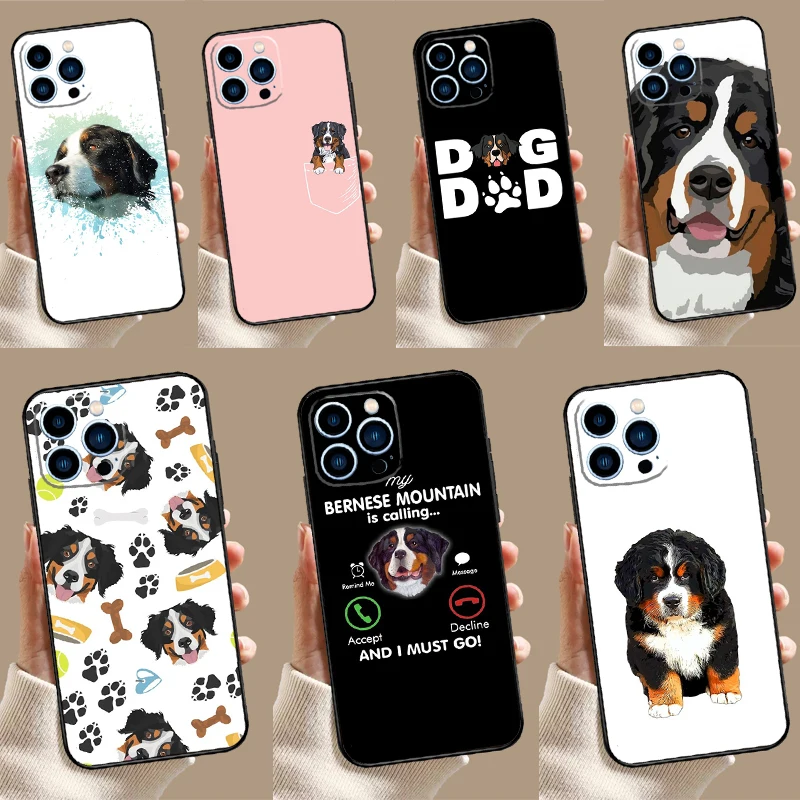 Bernese Mountain Do… - image